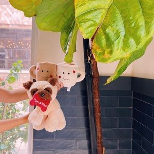 Valentines LOVERS DECORATION CUTE BUNDLE